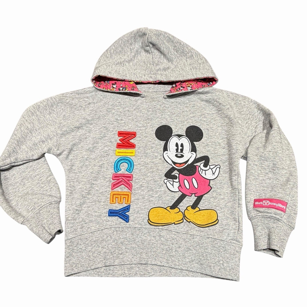 Disney Parks Mickey Mouse Hoodie Sweatshirt Gray Embroidered Rainbow Logo Size S